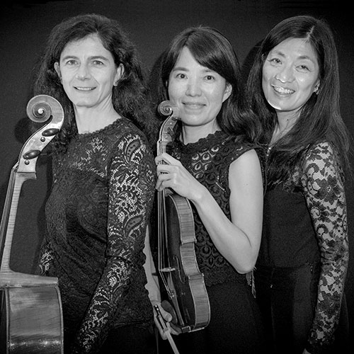 Trio Nosaki für erstklassige Livemusik für Ihren Anlass